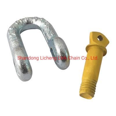 Type Galvanized Forged Stainless Steel Us Type D G210 Shackle for Sale