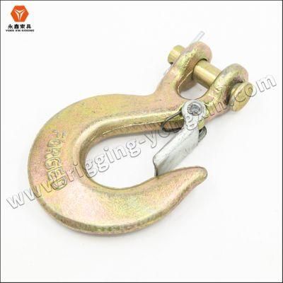 Galvanized Steel G70 Eye/Clevis Slip Hook with Latch