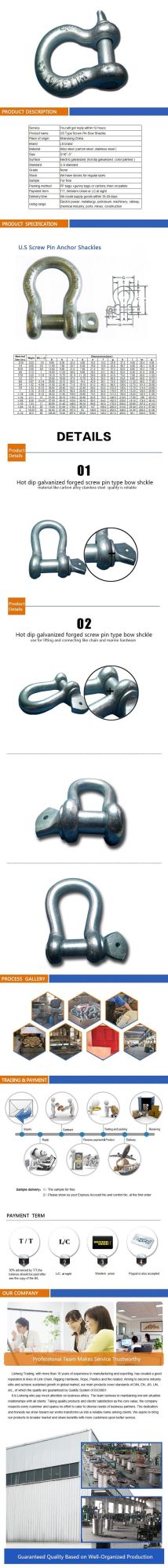 Bolt Type Anchor Shackle / Bow Shackle