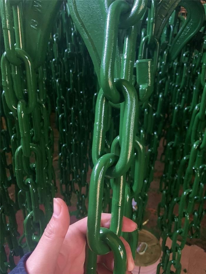 Alloy Steel Material Container Lashing Chain with Hook