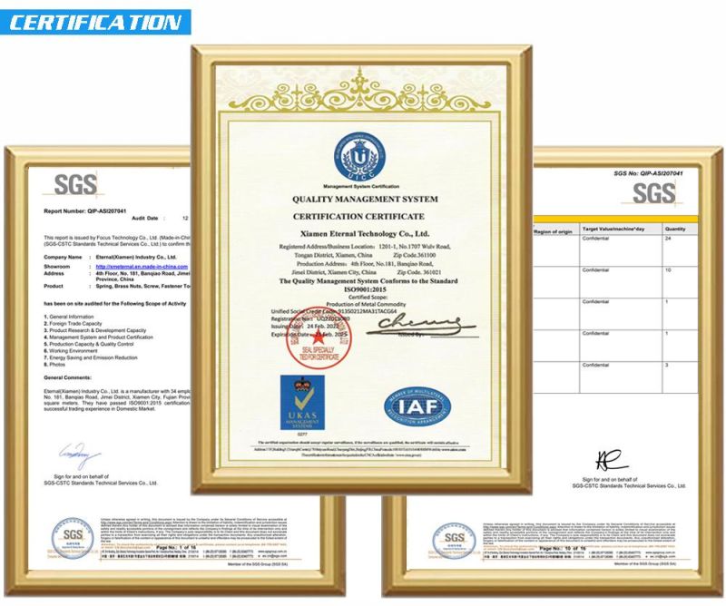 ISO Certificated Customized Stainless Steel Wire Form with Different Shape