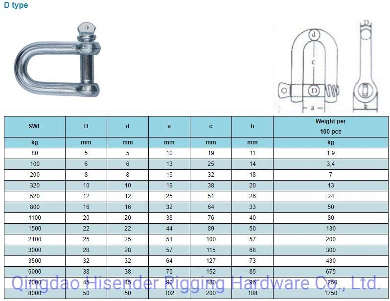 Shackle, D Type, Ss316 and Galvanized Type, European D Type, JIS D Type, Rigging Hardware, Marine Hardware