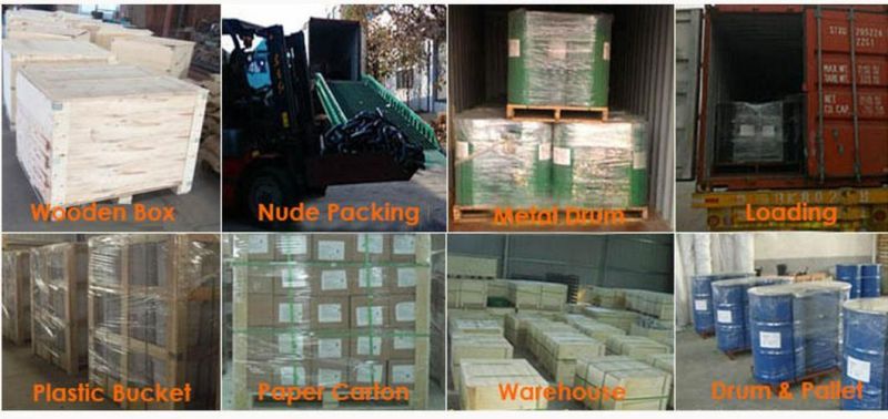 High Quality Golden Galvanized Us Type G70 Transportation Chain
