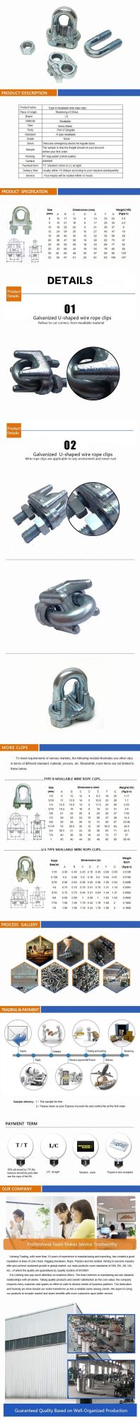 China Galvanized Wire Rope Clips Type a