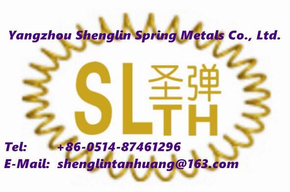 Slth-Ws-005 Stainless Steel 304 316 Music Wire Wave Spring for Industry