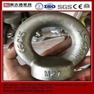 C15e Galvanised Forged Eye Bolt