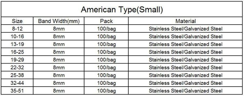 Plastic Handle Stainless Steel America Range Worm Gear Hose Clip