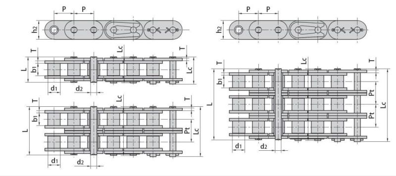 Roller Chains with Straight Side Plates a B Series Short Pitch Conveyor Special Attachments Double Extended Pins Lumber Sharp Top Best Price Conveyor Chains