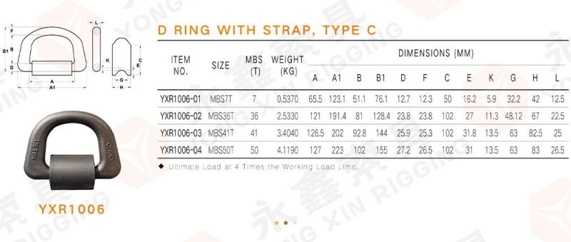 Best Supplier Forged D Ring Cargo Tie Down Anchors