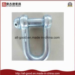 Trawling Shackle with Round Head Screw Pin