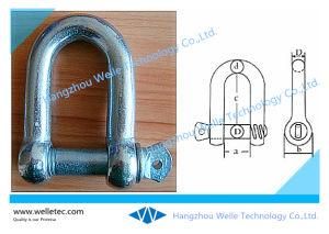 European Type Large Dee Shackle