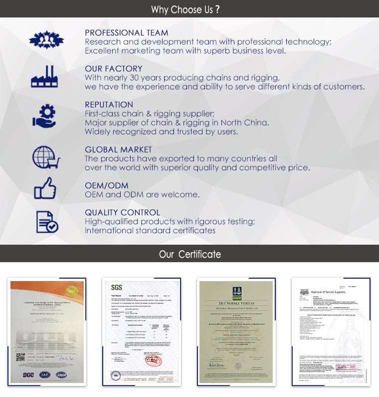 Alloy Steel Lashing Chain From Chinese Manufacturer