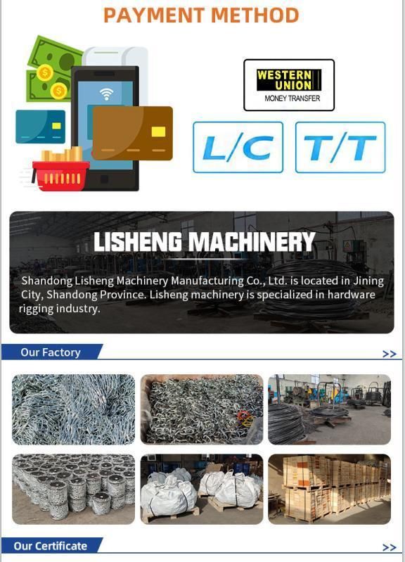 China High Tension Lifting G80 Long Link