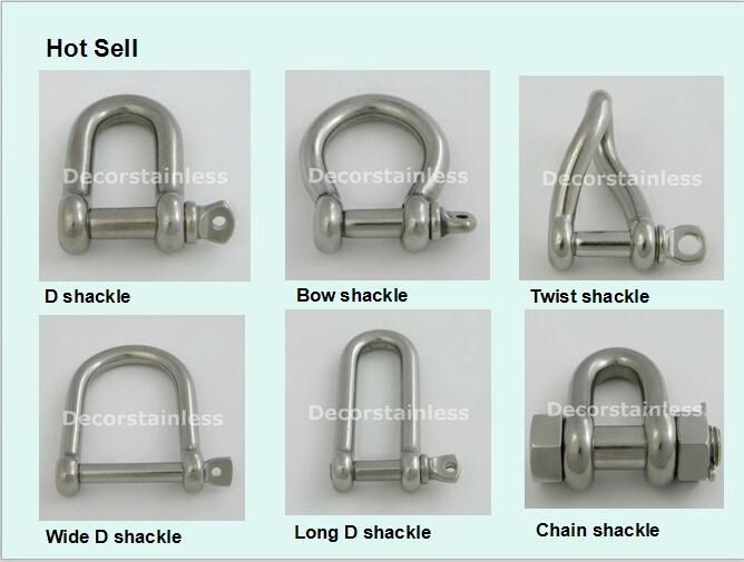 Stainless Steel Straight D Shackle