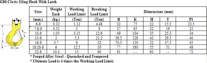 G80 Clevis Sling/Safety Hook with Latch for Lifting