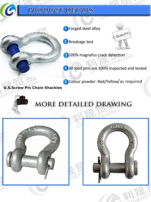 Bolt Round Pin Anchor Shackle