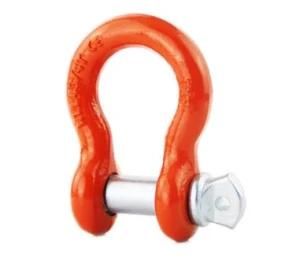 AISI 304 316 Stainless Steel European Type D Shackle / Forged Shackle Chinese Supplier