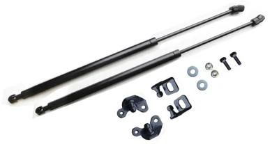 China Manufacture Car Trunk Gas Struts for Automotive Tailgate Soft Close