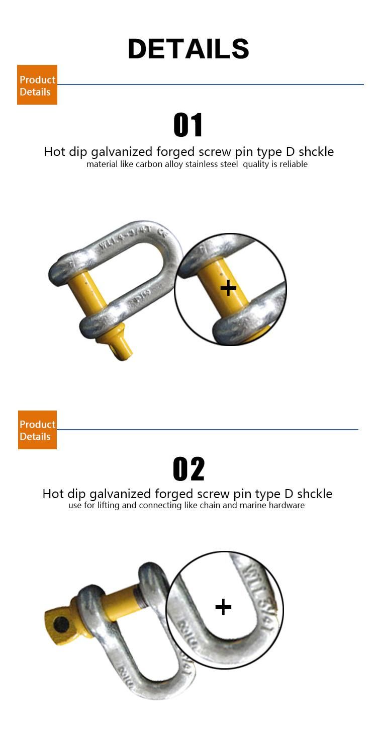 Type Galvanized Forged Stainless Steel Us Type D G210 Shackle for Sale