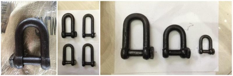 Trawling Dee Shackle with Square Head Pin