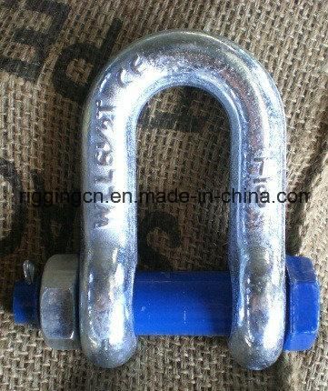 Galvanized Bow Shackle and D Shackle for Lifting Ring