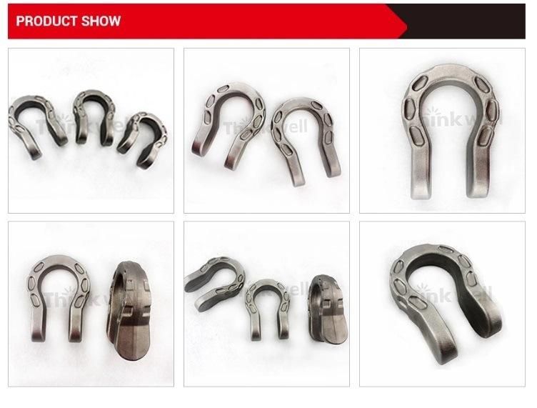 Special Design Forged D-Ring Shackle