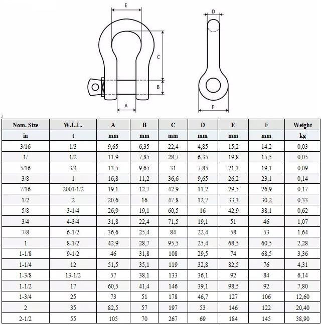 G209 Drop Forged Stainless Steel Screw Pin Anchor Bow Shackle
