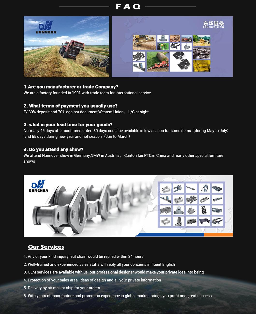 DONGHUA Roller Chain with Vulcanised Elastomer Profiles