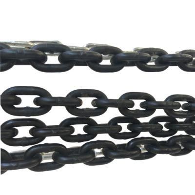 Plastic Coating G80 Lifting Chain for Sale