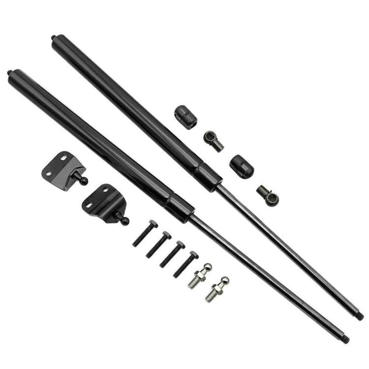 Ruibo Cylinder Gas Struts Spring with SGS RoHS for Auto Car