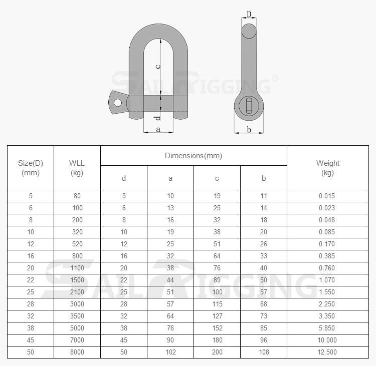 European Type High Polished Stainless Steel Forged D Shackles