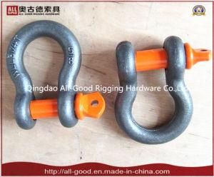 Us Type Ungal Chain Shackle with Painted Screw Pin