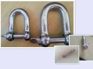 Galvanzied European Large D Shackle