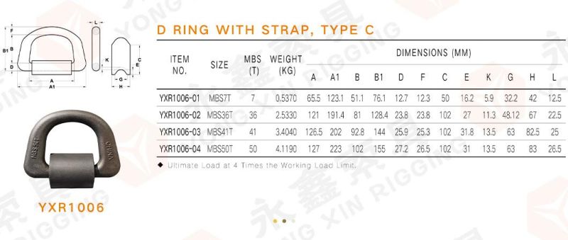 Carbon Steel Marine Parts D Ring Lashing Tie Down D Ring