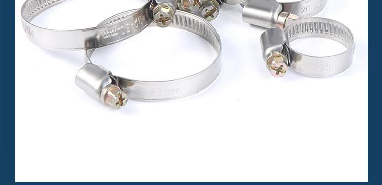 Professional Manufacturer 304 Stainless Steel German Hose Clamp