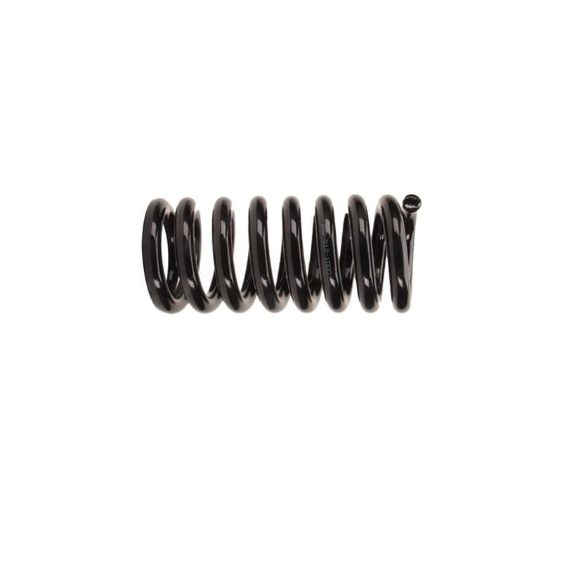 Auto Coil Spring for Automobiles with High Quality