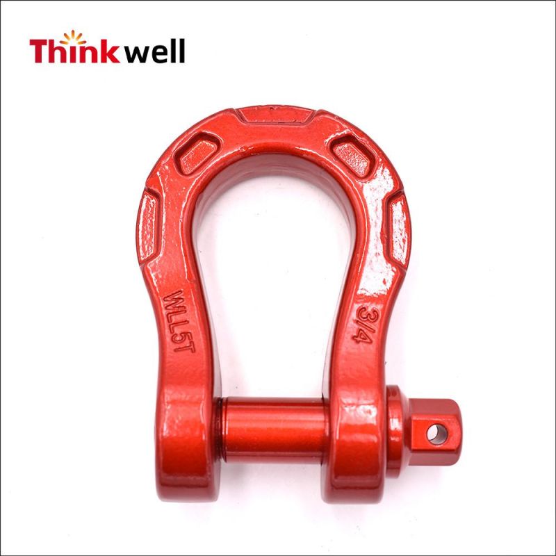 Special Design Forged D-Ring Shackle