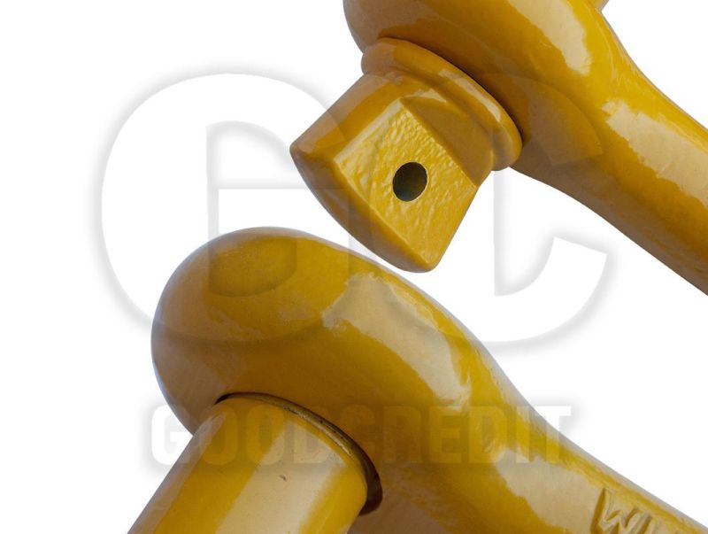 Wholesale Hardware Rigging Galvanized Us Type Drop Forged Carbon Steel G210 Shackle Straight Dee D Shape Chain Anchor Shackle