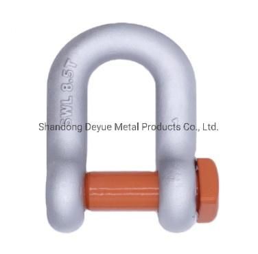 JIS Type High Polished Stainless Steel AISI304/316 D Shackle with Screw Pin