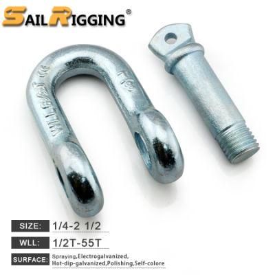 Wholesale Hardware Rigging Galvanized Us Type Drop Forged Carbon Steel G210 Shackle Straight Dee D Shape Chain Anchor Shackle