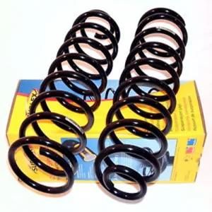 Wholesale Custom Automobile Rear Coil Springs