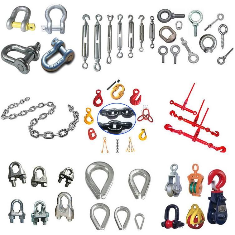 European Type Large Dee Shackle Hot DIP Galvanized Drop Forged G209 Lifting Marine Screw Pin Bow Shackle