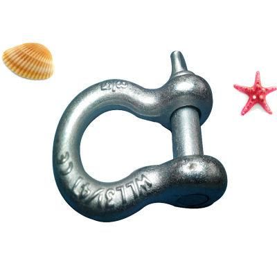 European Type Electric Galvanized Large Bow Shackle