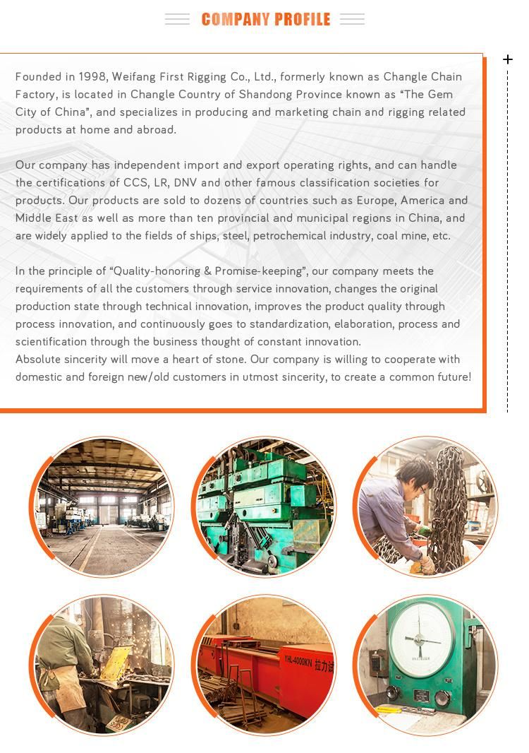 New Design High Quality Us Type Forgted Master Link Assembly for Crane Lifting Chain Slings