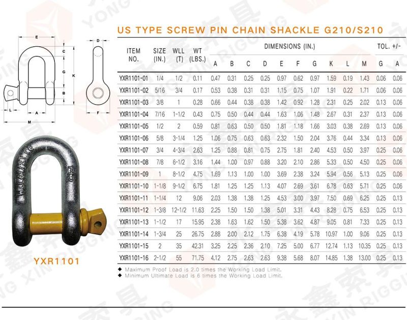 Marine Hardware Electric Galvanized Us Type Carbon Steel Drop Forged Screw Pin D Shackle