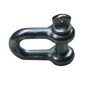 Bow Shackle D Type Shackle for Rigging Hardware