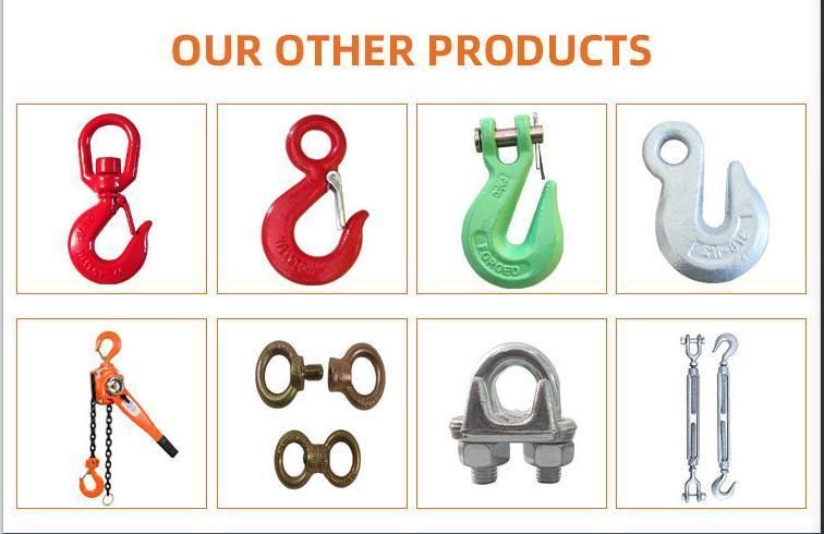 High Tension Drop Forged Steel Clevis Slip Hook with Latches H331