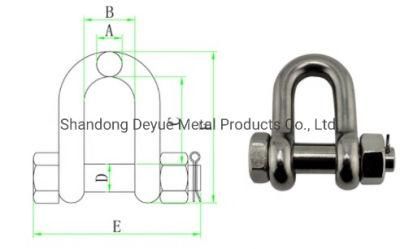 Us Type D Shackle Hot Dipped Galvanized Trawling Chain Shackle with Square Head Screw Pin