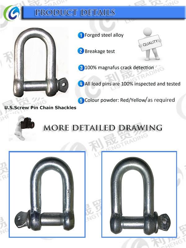 Factory Europe Type Large D Shackle