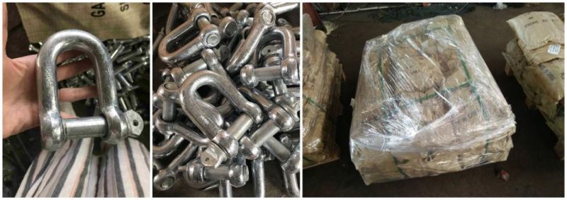 JIS Type Commercial Dee Shackle